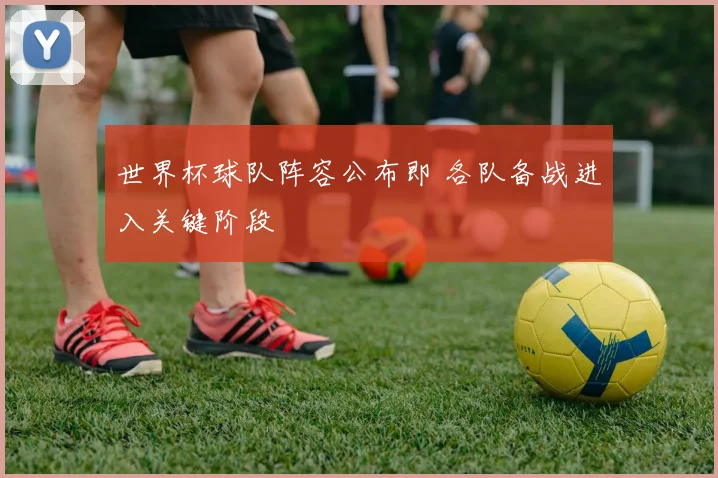 世界杯球队阵容公布即 各队备战进入关键阶段