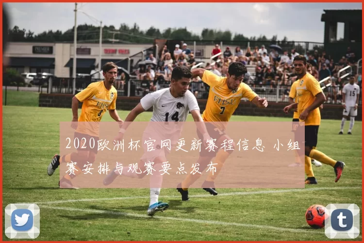 2020欧洲杯官网更新赛程信息 小组赛安排与观赛要点发布