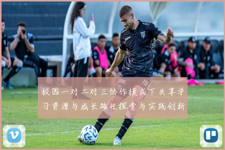 校园一对二对三协作模式下共享学习资源与成长路径探索与实践创新策略