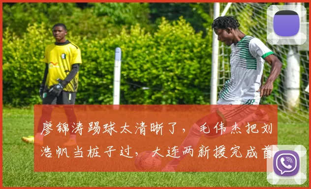 廖锦涛踢球太清晰了，毛伟杰把刘浩帆当桩子过，大连两新援完成首秀